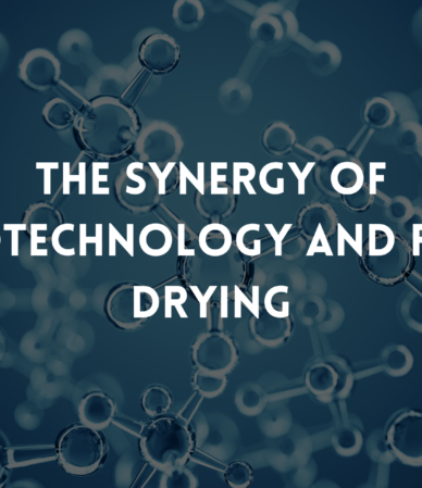 The Synergy of Nanotechnology and Freeze Drying