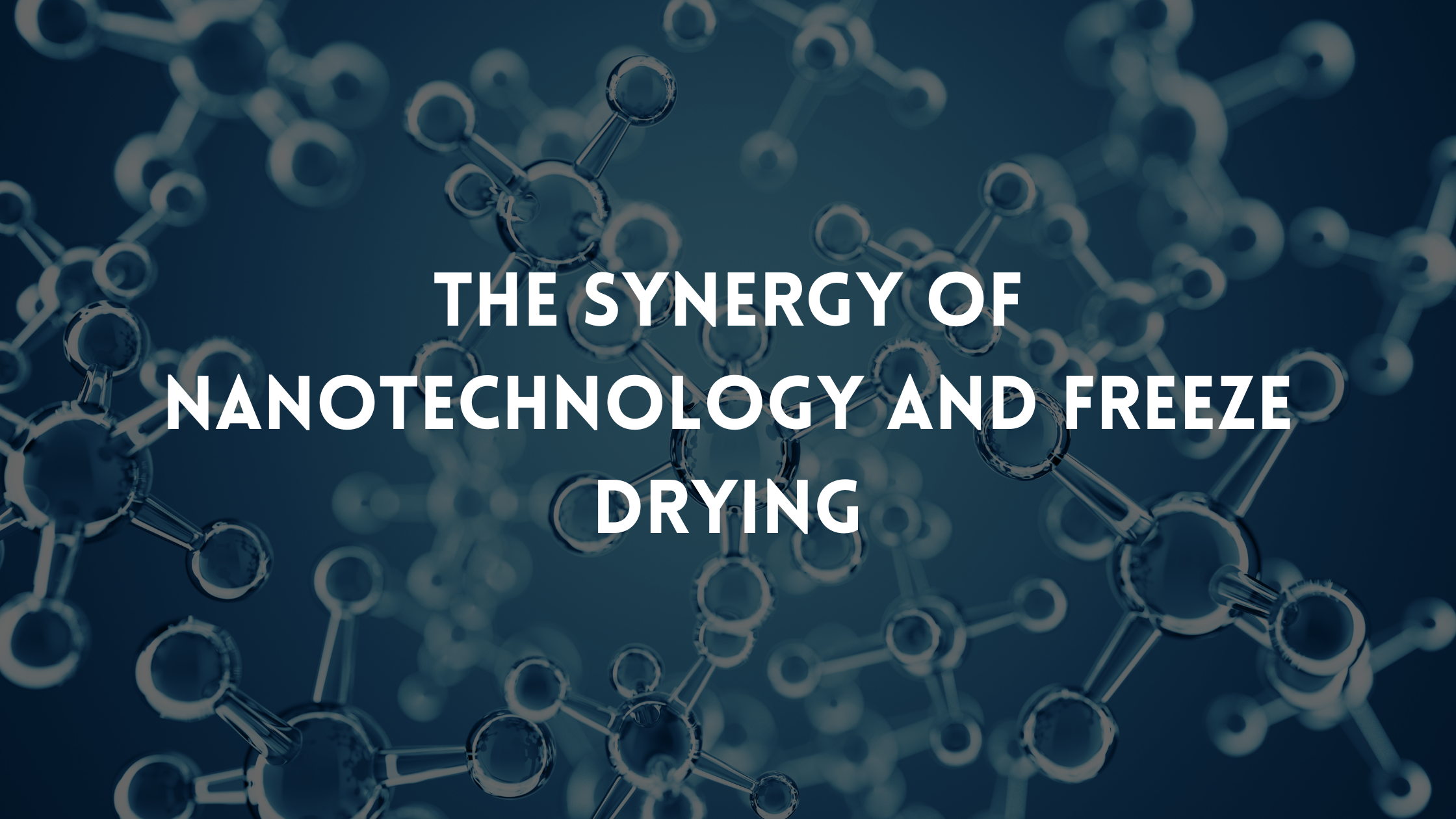 The Synergy of Nanotechnology and Freeze Drying