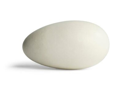 Egg Look Alike Almonds